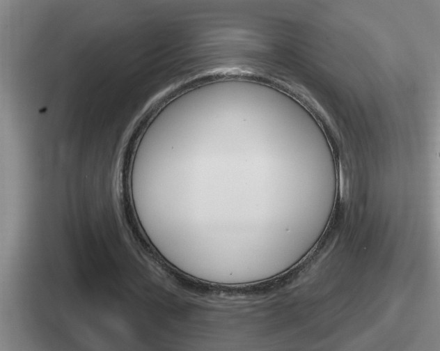 X0000112070531201007221008