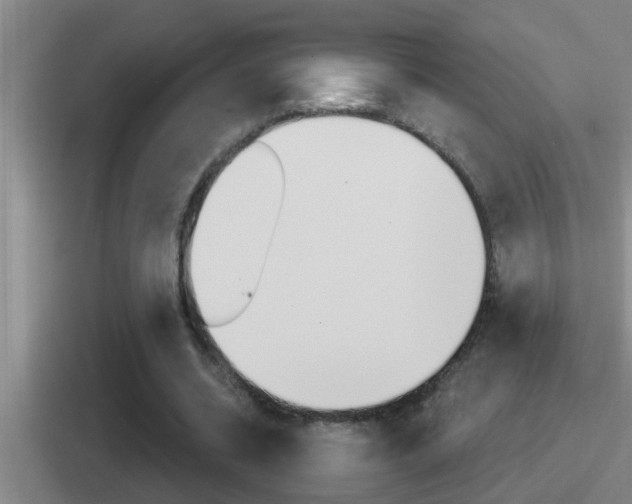 X0000112070534201007221008