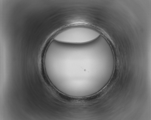 X0000112070535201007221008