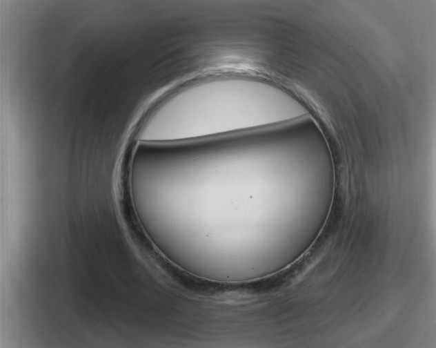 X0000112070536201007221008