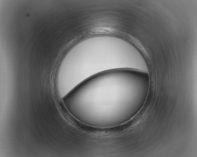 X0000112070538201007221008