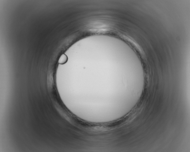 X0000112070541201007221009