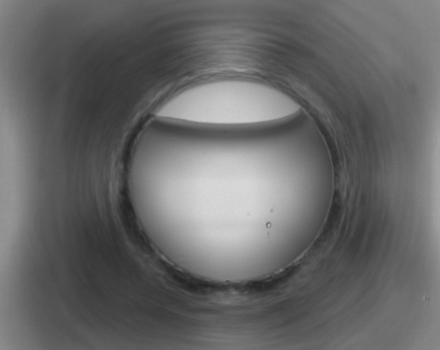 X0000112070544201007221009