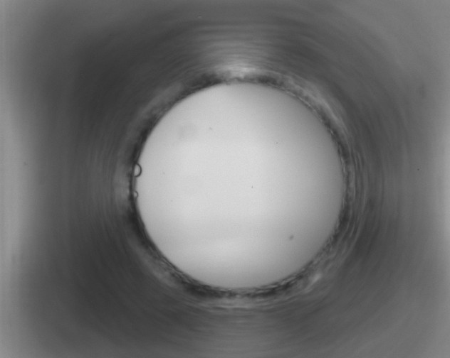 X0000112070545201007221009