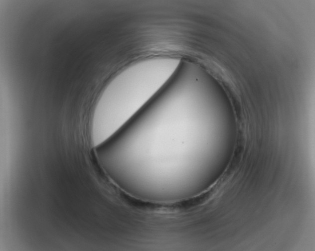 X0000112070546201007221009