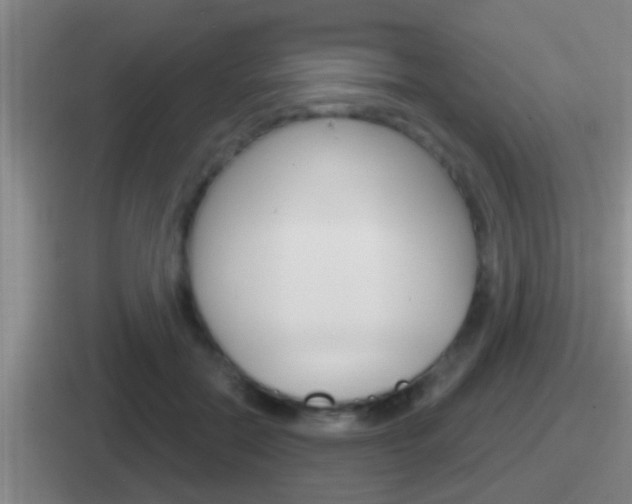 X0000112070554201007221009
