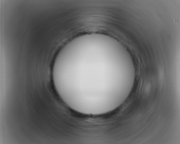 X0000112070556201007221009
