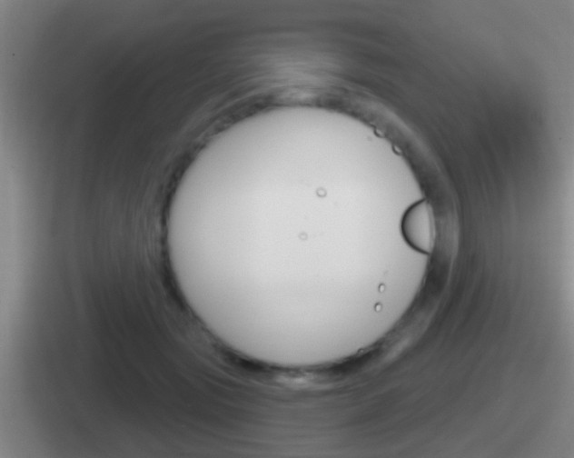 X0000112070557201007221009