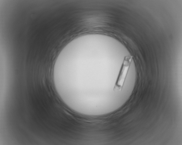 X0000112070558201007221009