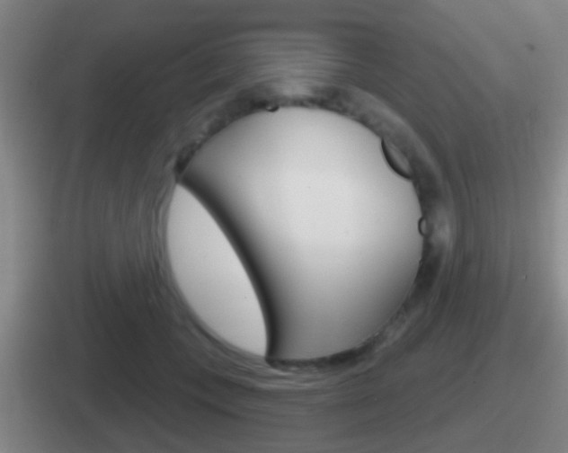 X0000112070559201007221009