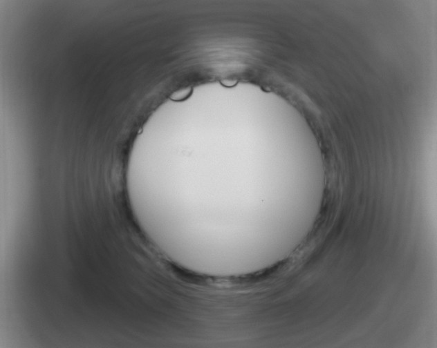 X0000112070565201007221009