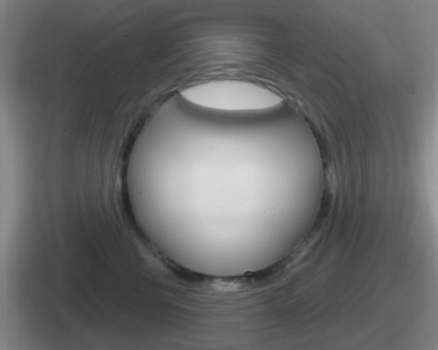 X0000112070570201007221009