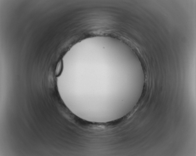 X0000112070572201007221009
