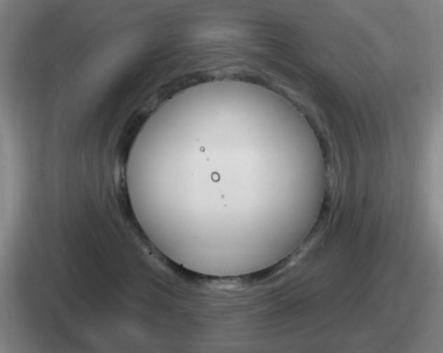 X0000112070574201007221009