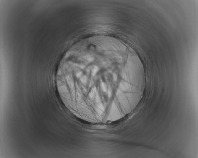 X0000112070575201007221009