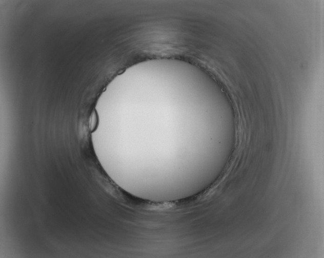 X0000112070576201007221009