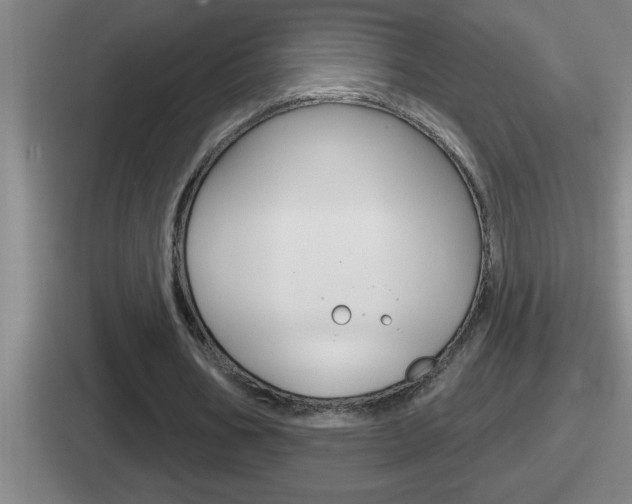 X0000112070578201007221008