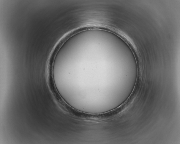 X0000112070580201007221008