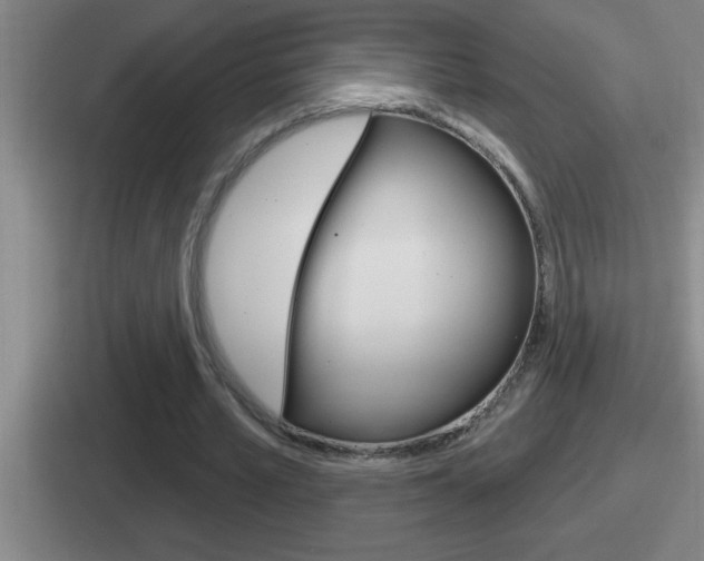 X0000112070581201007221008
