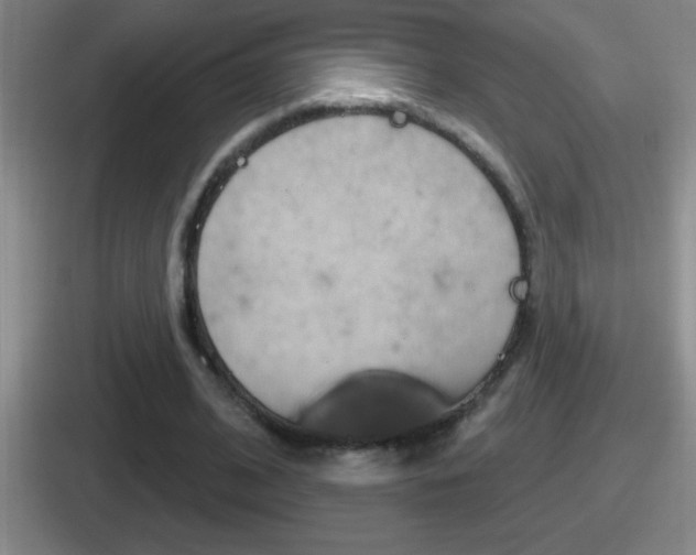 X0000112070584201007221008