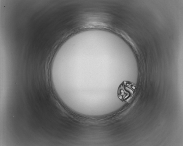 X0000112070585201007221008