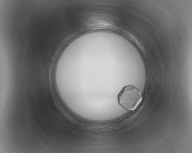 X0000112070589201007221008