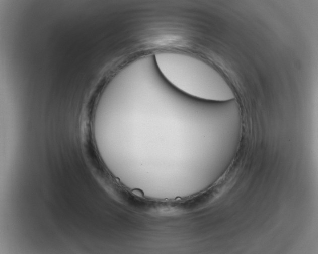 X0000112070590201007221008