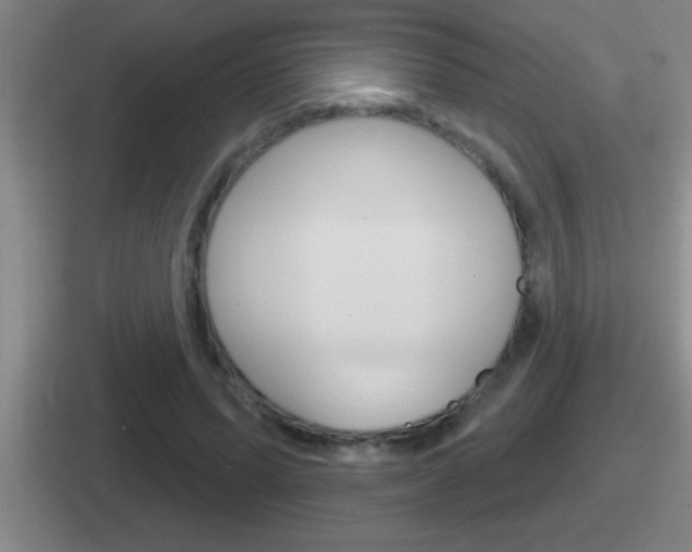 X0000112070591201007221008