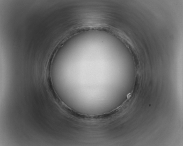 X0000112070593201007221008