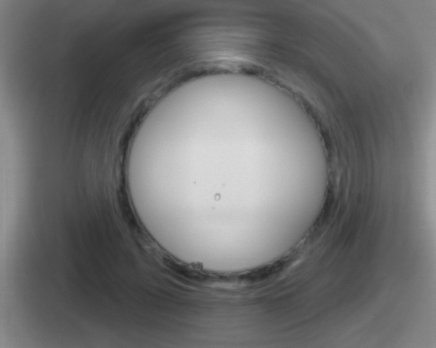 X0000112070595201007221008