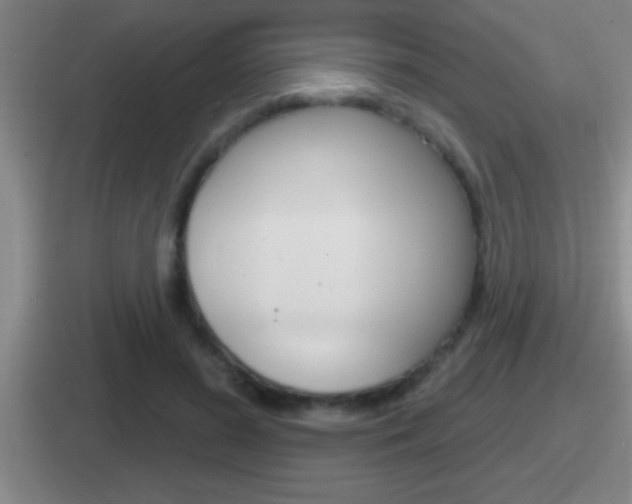 X0000112070596201007221008