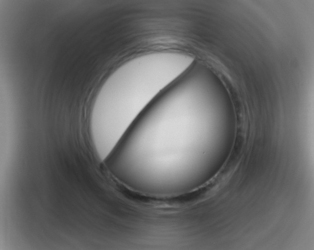 X0000112070597201007221008