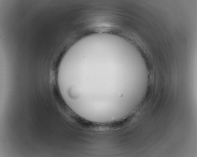 X0000112070598201007221008