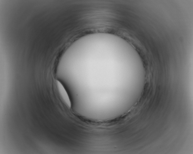 X0000112070599201007221008