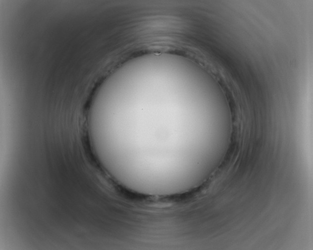 X0000112070601201007221008