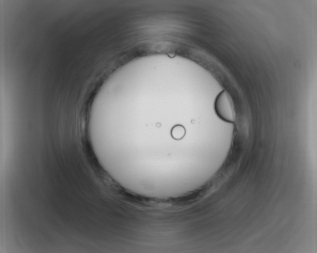 X0000112070602201007221008