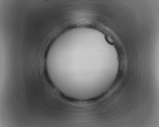 X0000112070604201007221008