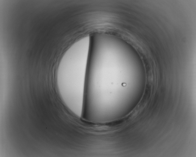 X0000112070605201007221008
