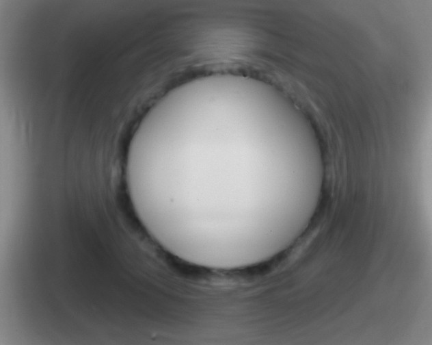 X0000112070608201007221008
