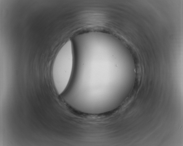 X0000112070613201007221008