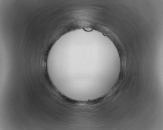 X0000112070614201007221008