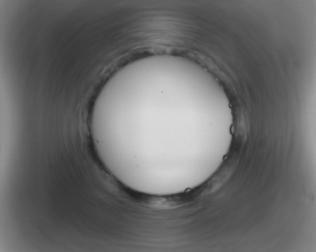 X0000112070616201007221008