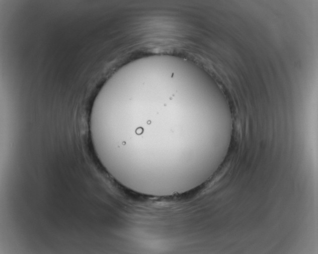 X0000112070620201007221008