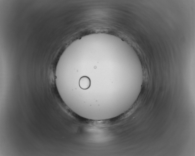 X0000112070622201007221008
