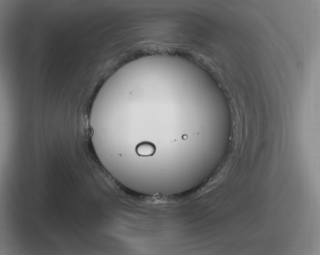 X0000112070624201007221008
