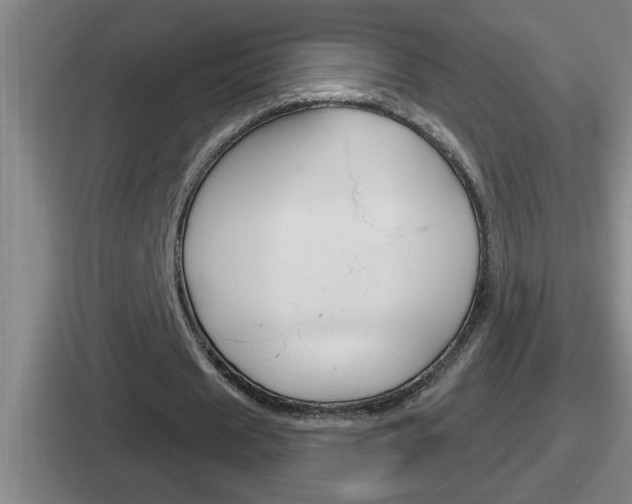 X0000112070625201007221007