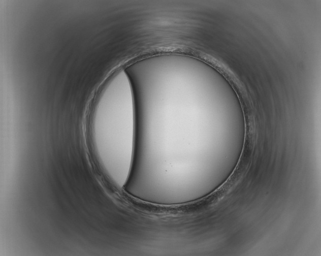 X0000112070626201007221007