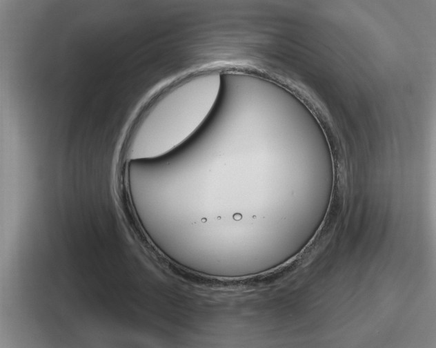 X0000112070628201007221007