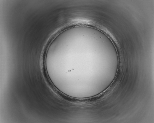 X0000112070629201007221007
