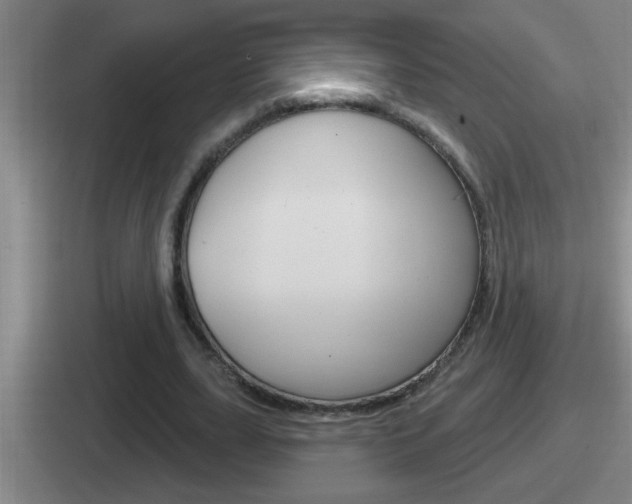 X0000112070631201007221007